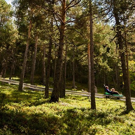 Apartamento Ribasol Vallnord En Arinsal Tintin 外观 照片
